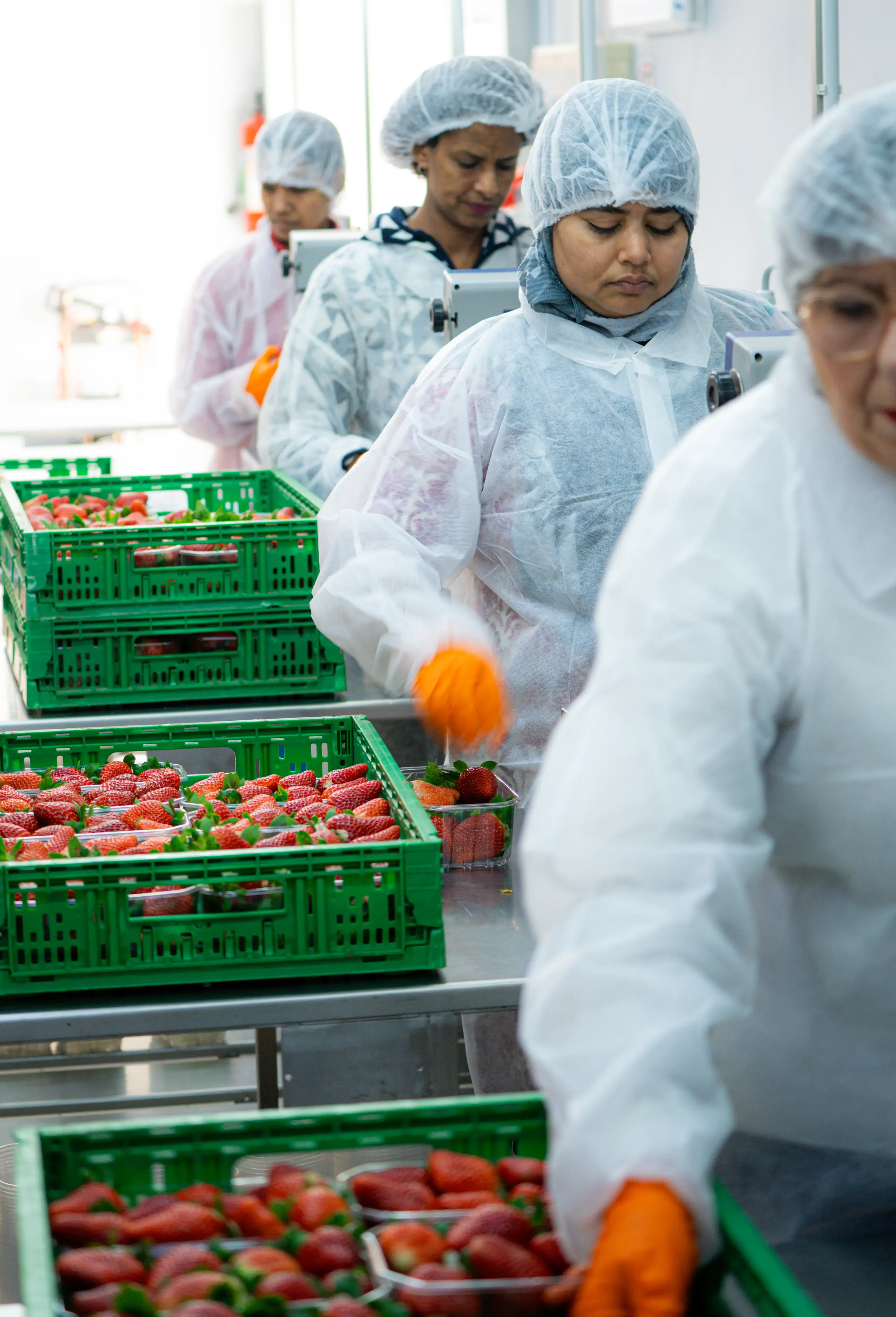 Tracciabilità e Controllo Qualità