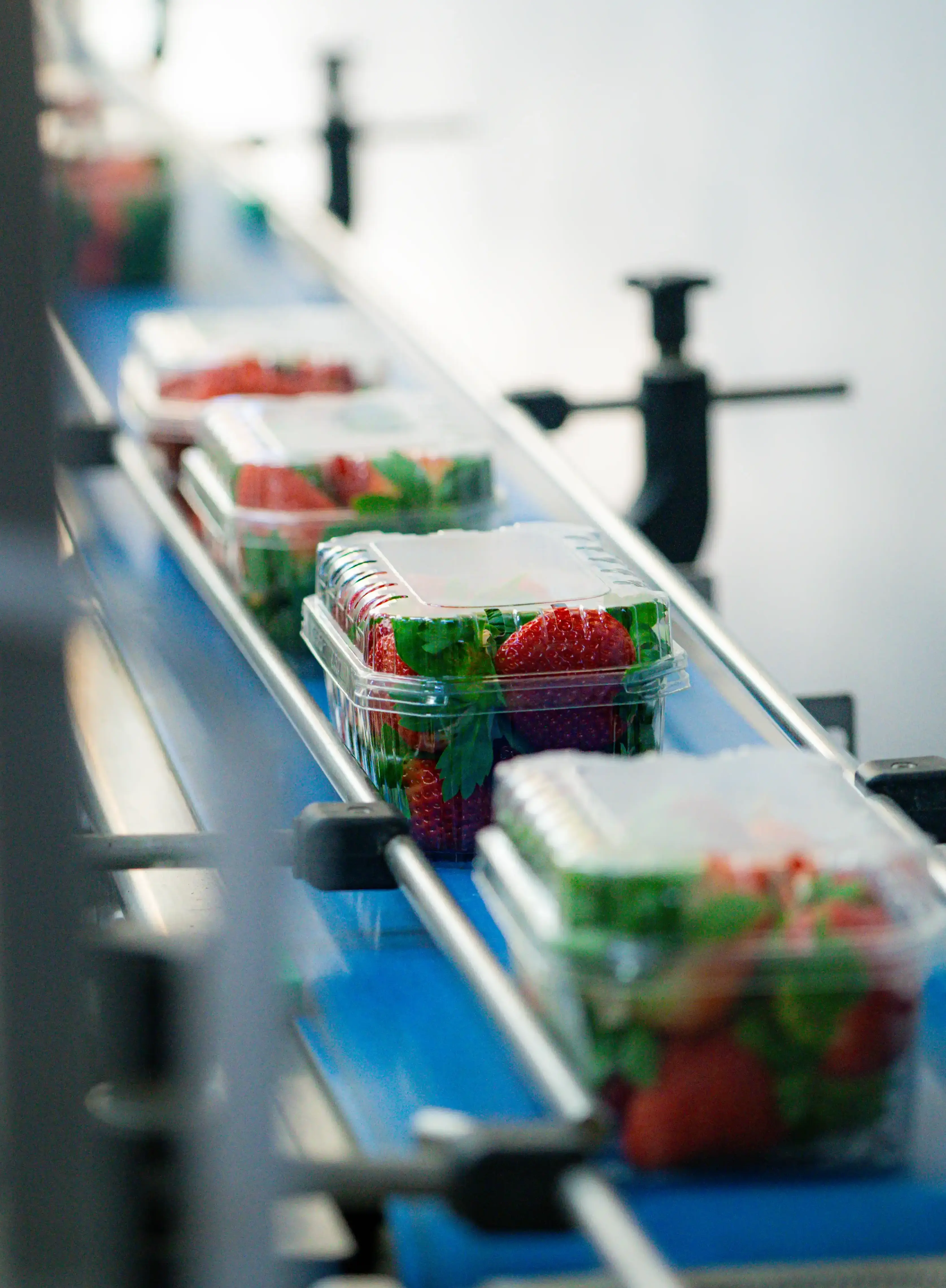 Logistica e Distribuzione