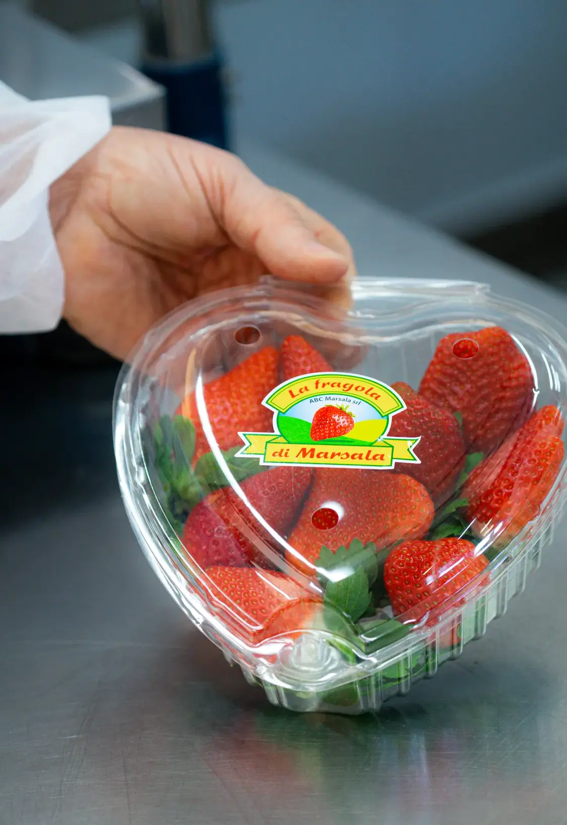 Confezionamento ed Etichettatura